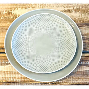 New with Tags Rosenthal Junto Pearl Gray Salad and Dinner Plate Set